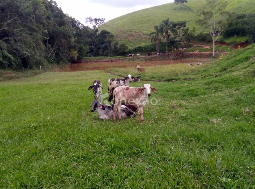 Fazenda em Cunha/São Paulo — Ref U2AQBF — Imagem 10