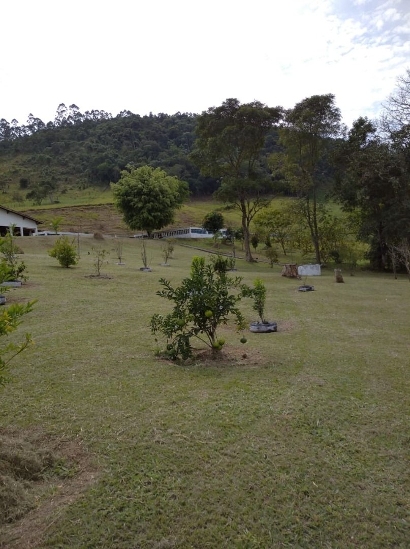 Sítio em São José dos Campos/São Paulo — Ref ZNSZKG — Imagem 4