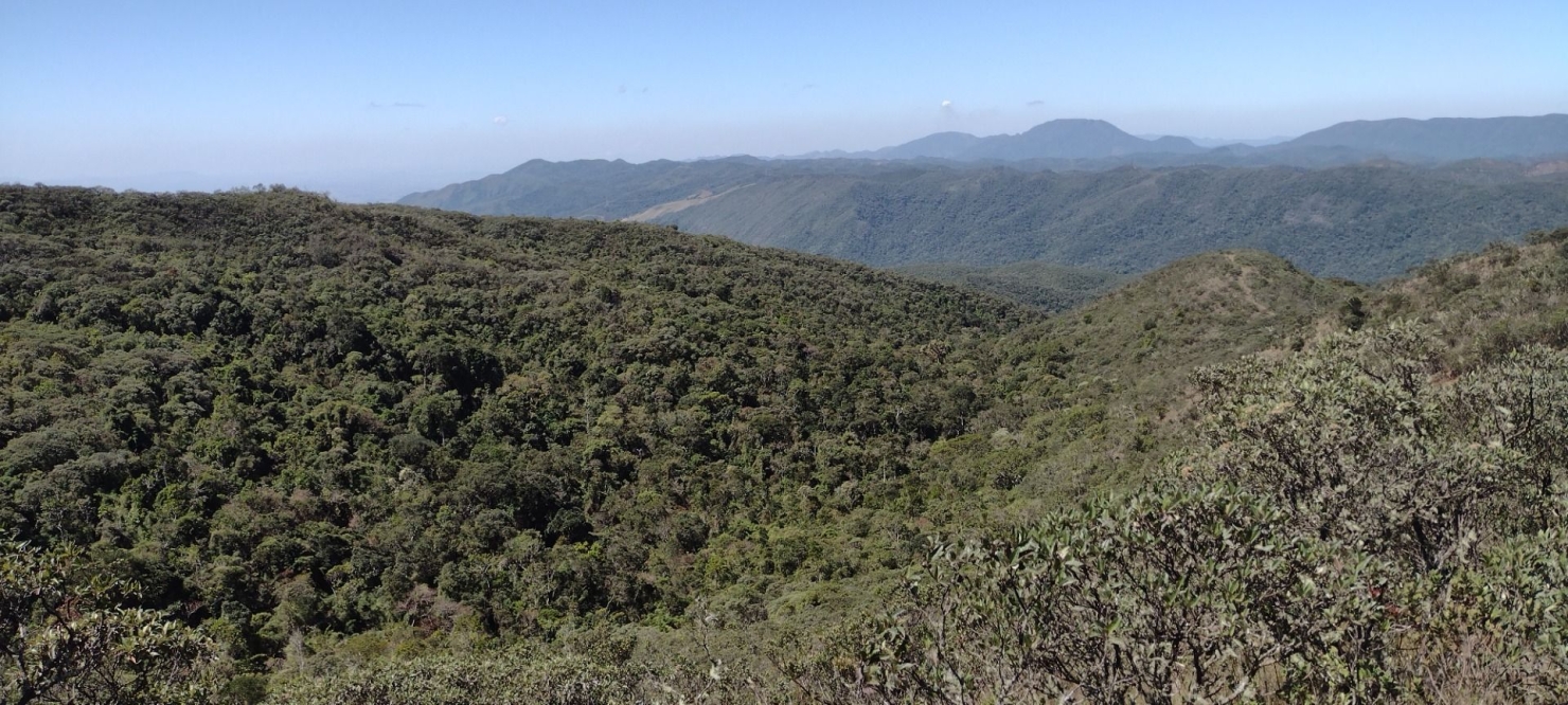 Fazenda, 422 hectares - Foto 2