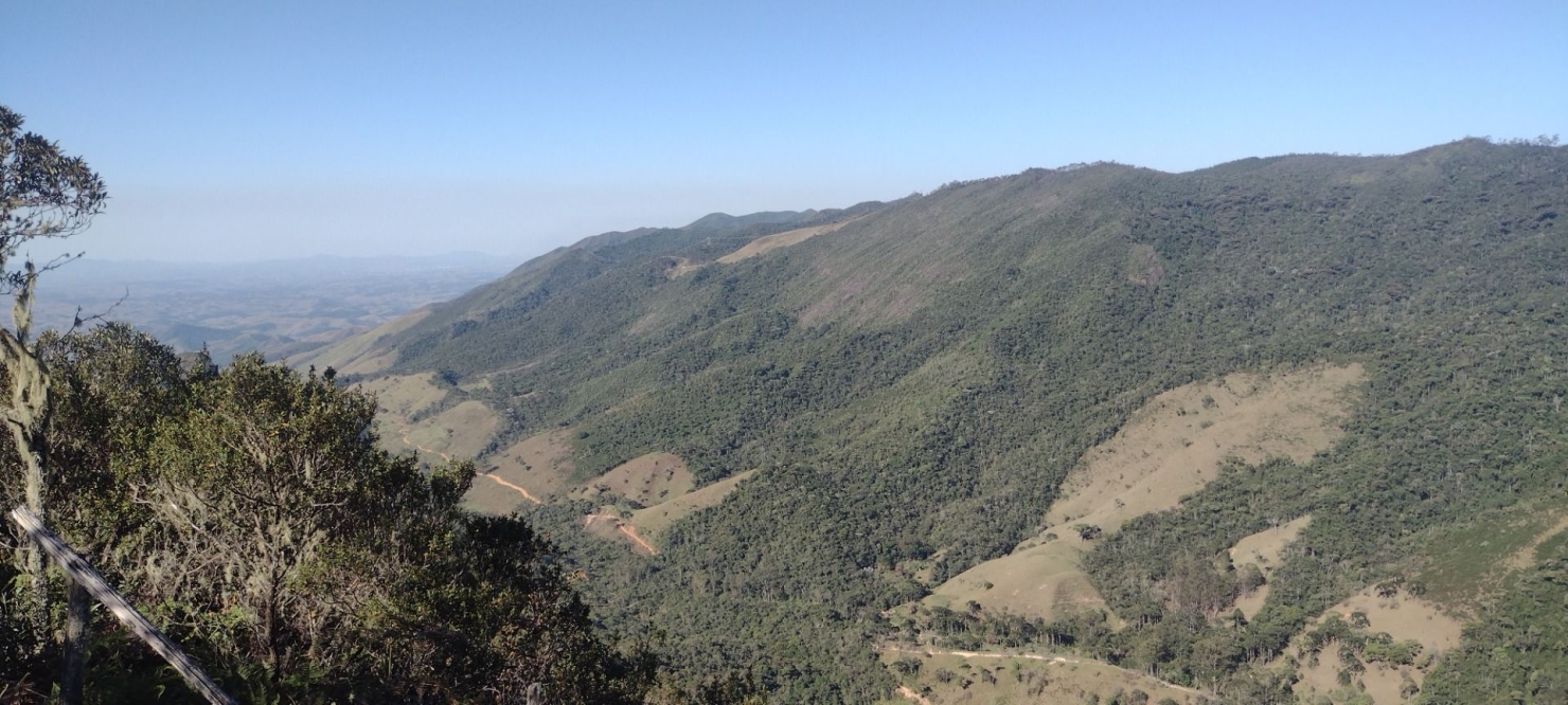 Fazenda, 422 hectares - Foto 5