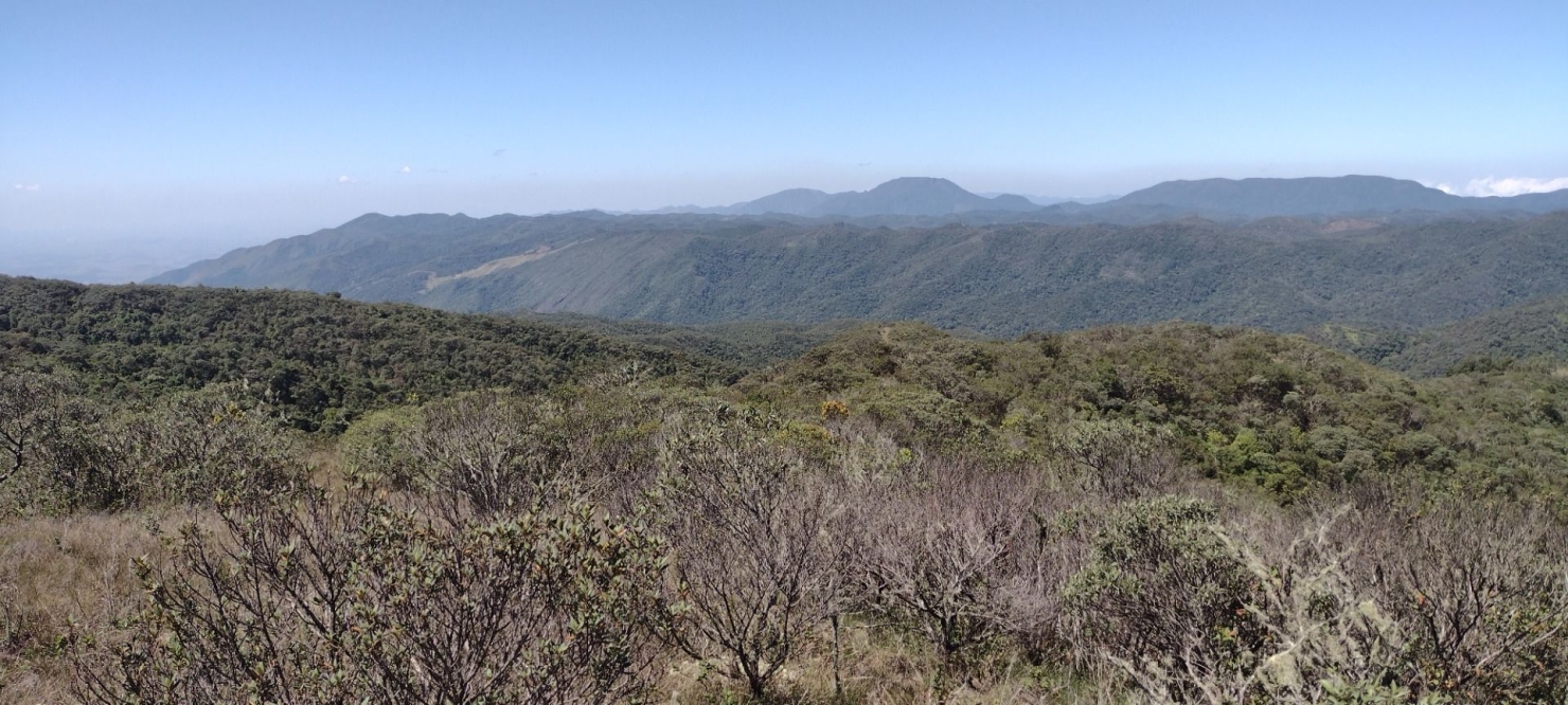 Fazenda, 422 hectares - Foto 6
