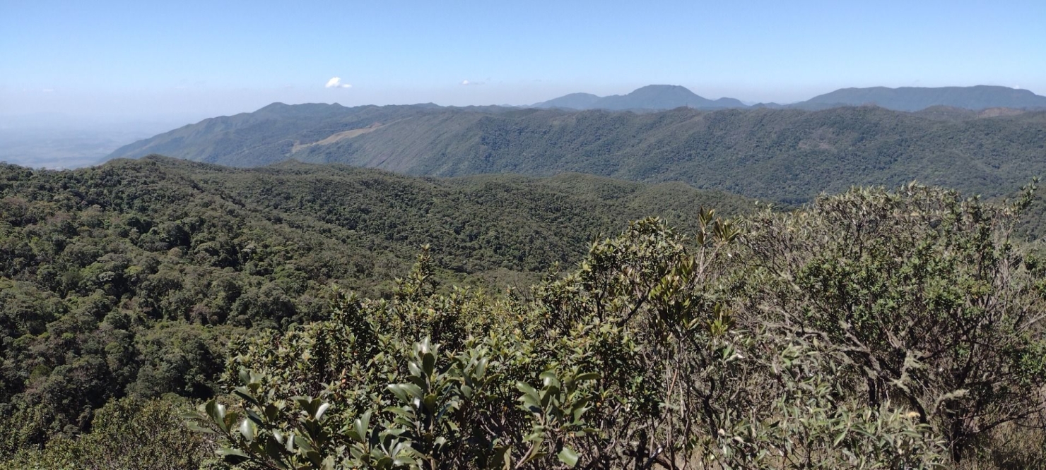 Fazenda, 422 hectares - Foto 8