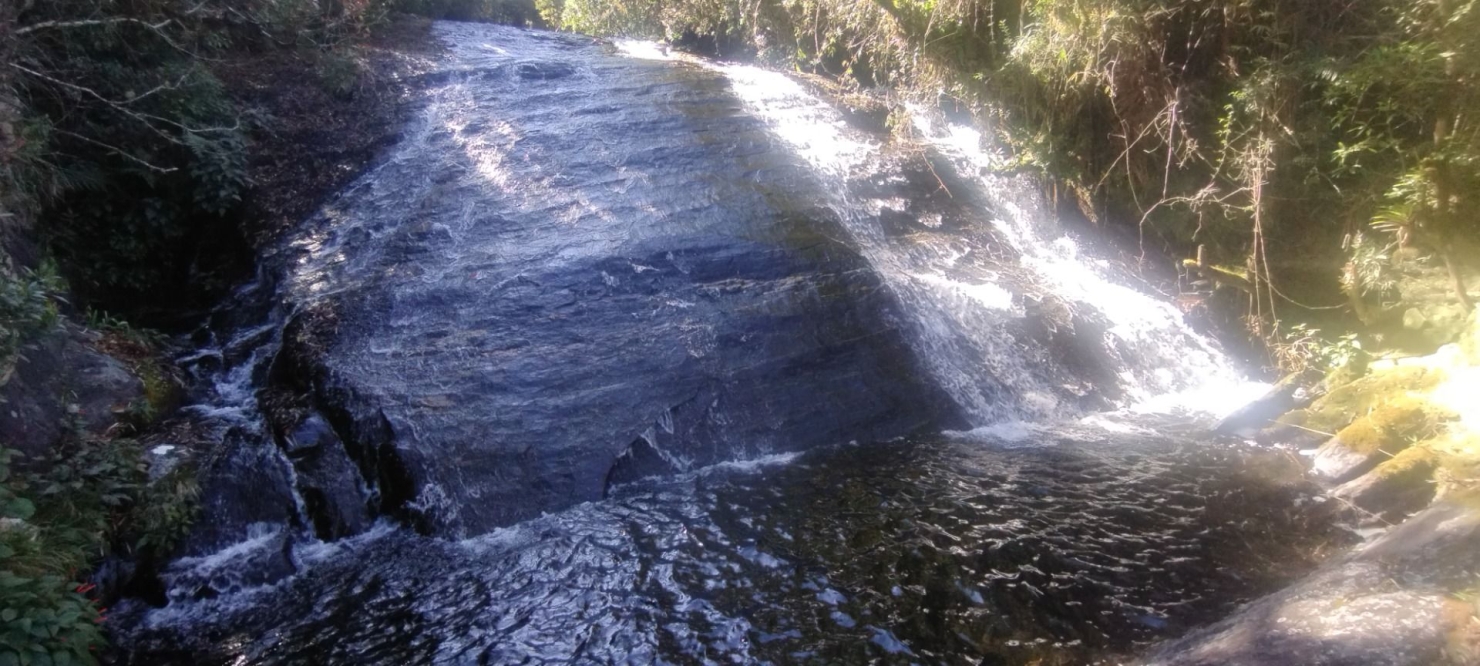 Fazenda, 422 hectares - Foto 11