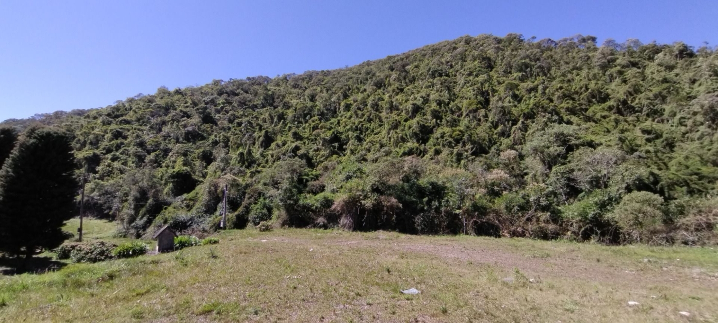 Fazenda, 422 hectares - Foto 10