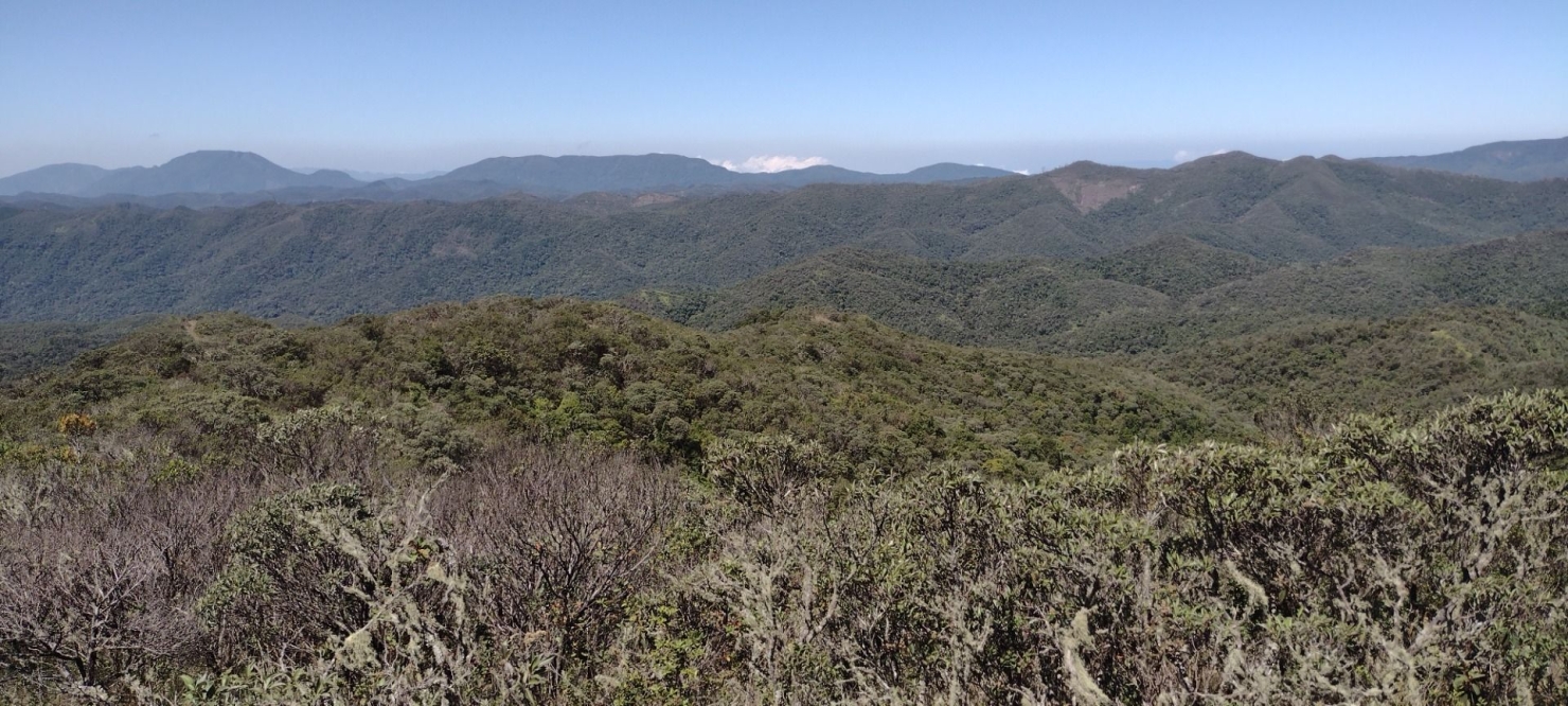 Fazenda, 422 hectares - Foto 12