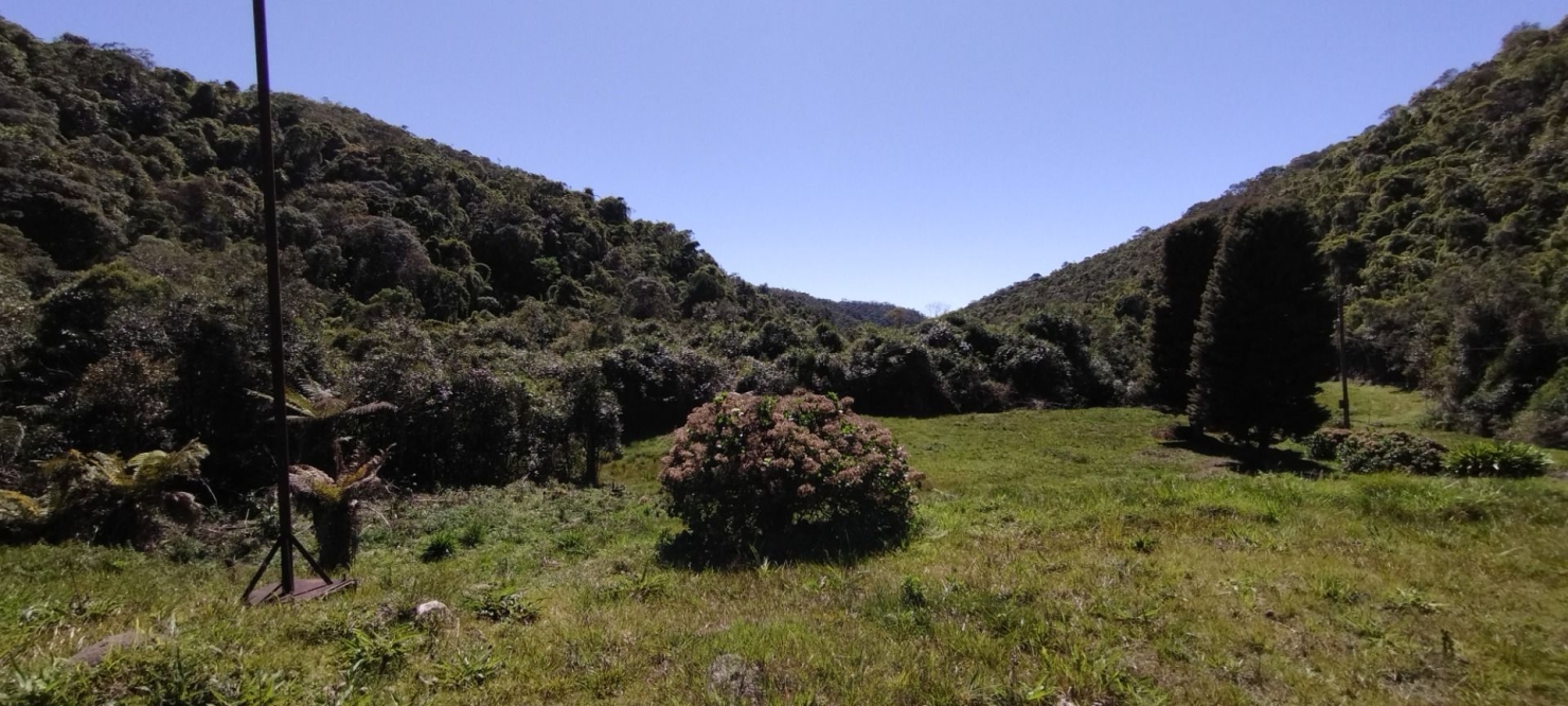 Fazenda, 422 hectares - Foto 13
