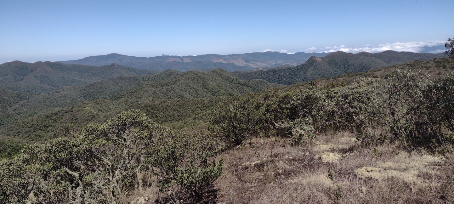 Fazenda, 422 hectares - Foto 16