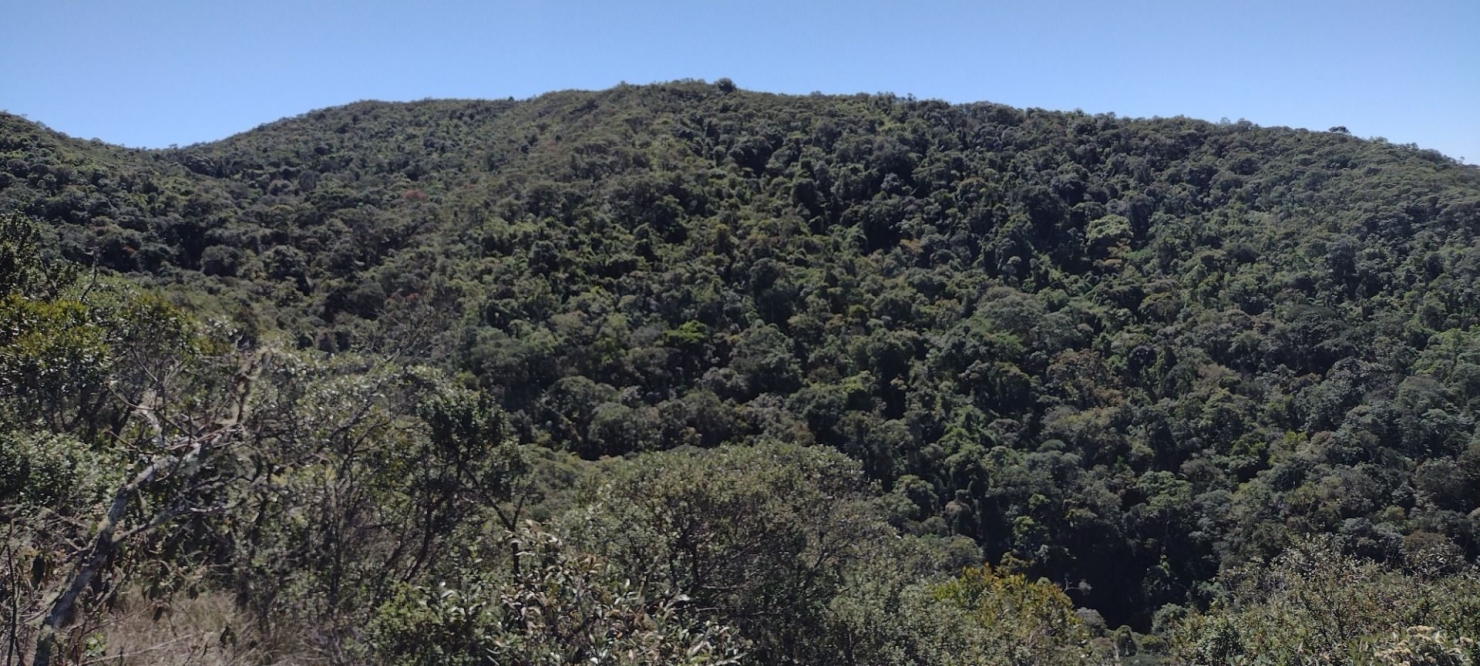 Fazenda, 422 hectares - Foto 18