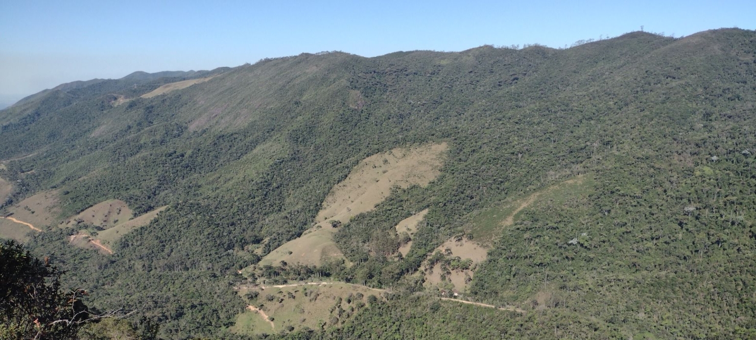Fazenda, 422 hectares - Foto 19