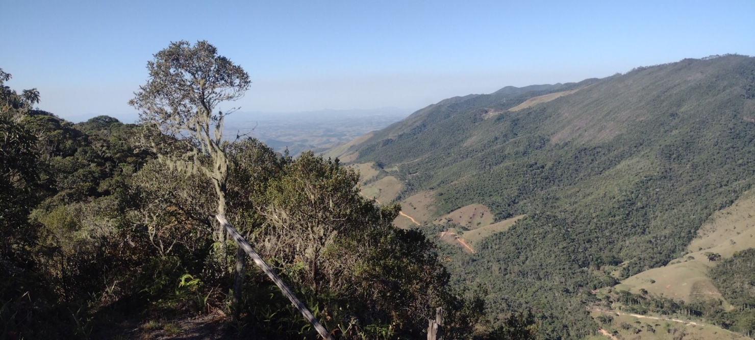 Fazenda, 422 hectares - Foto 21