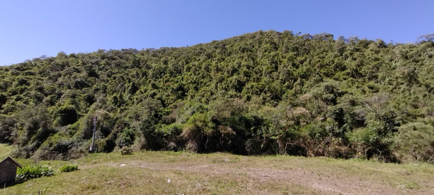 Fazenda, 422 hectares - Foto 27