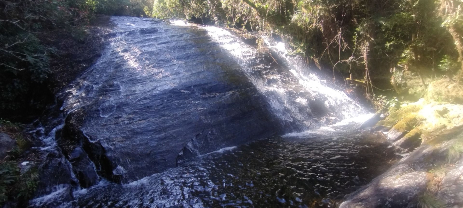 Fazenda, 422 hectares - Foto 30