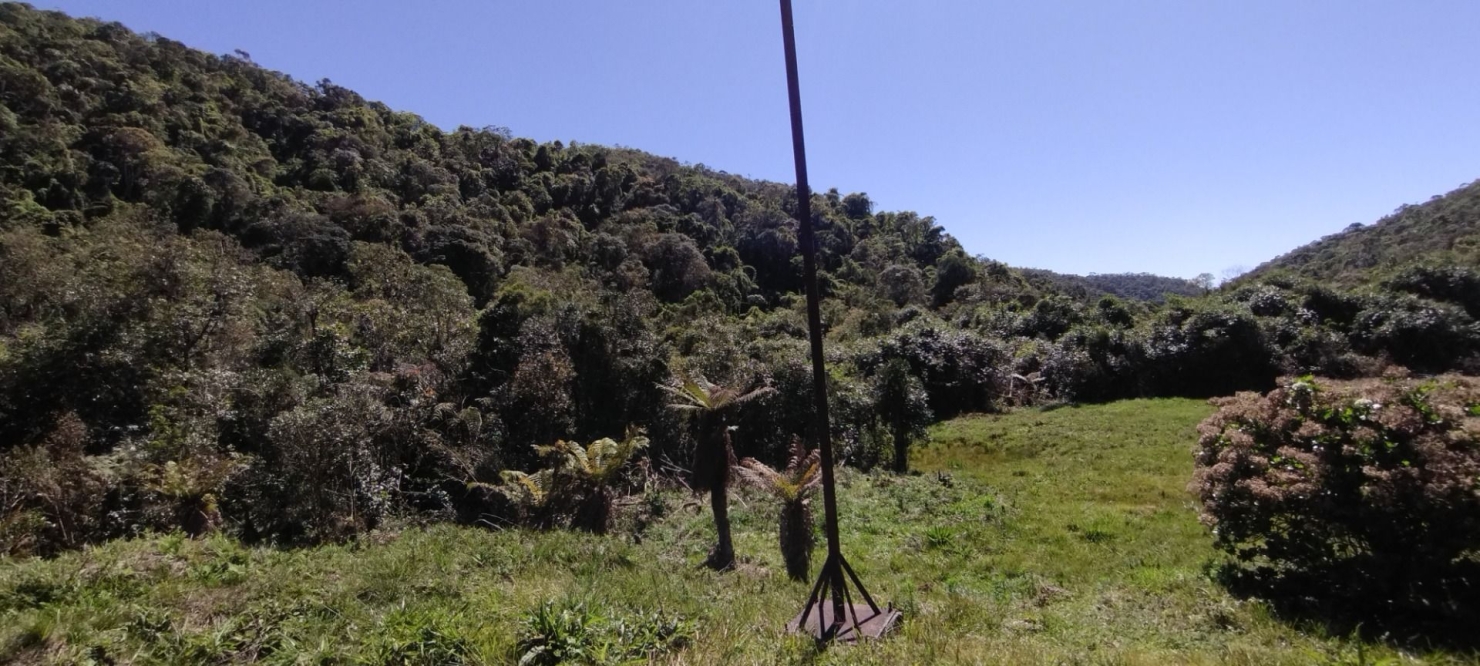 Fazenda, 422 hectares - Foto 31