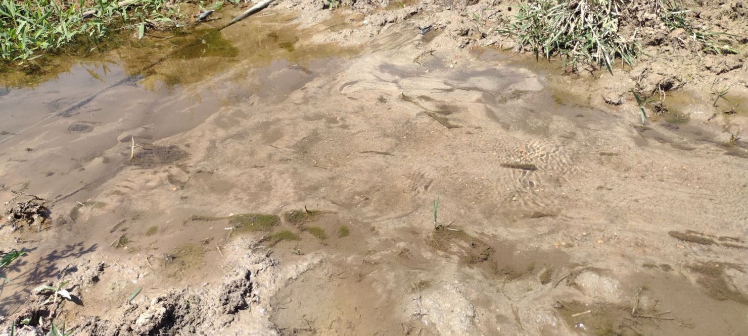 Fazenda-Sítio-Chácara, 73 hectares - Foto 8