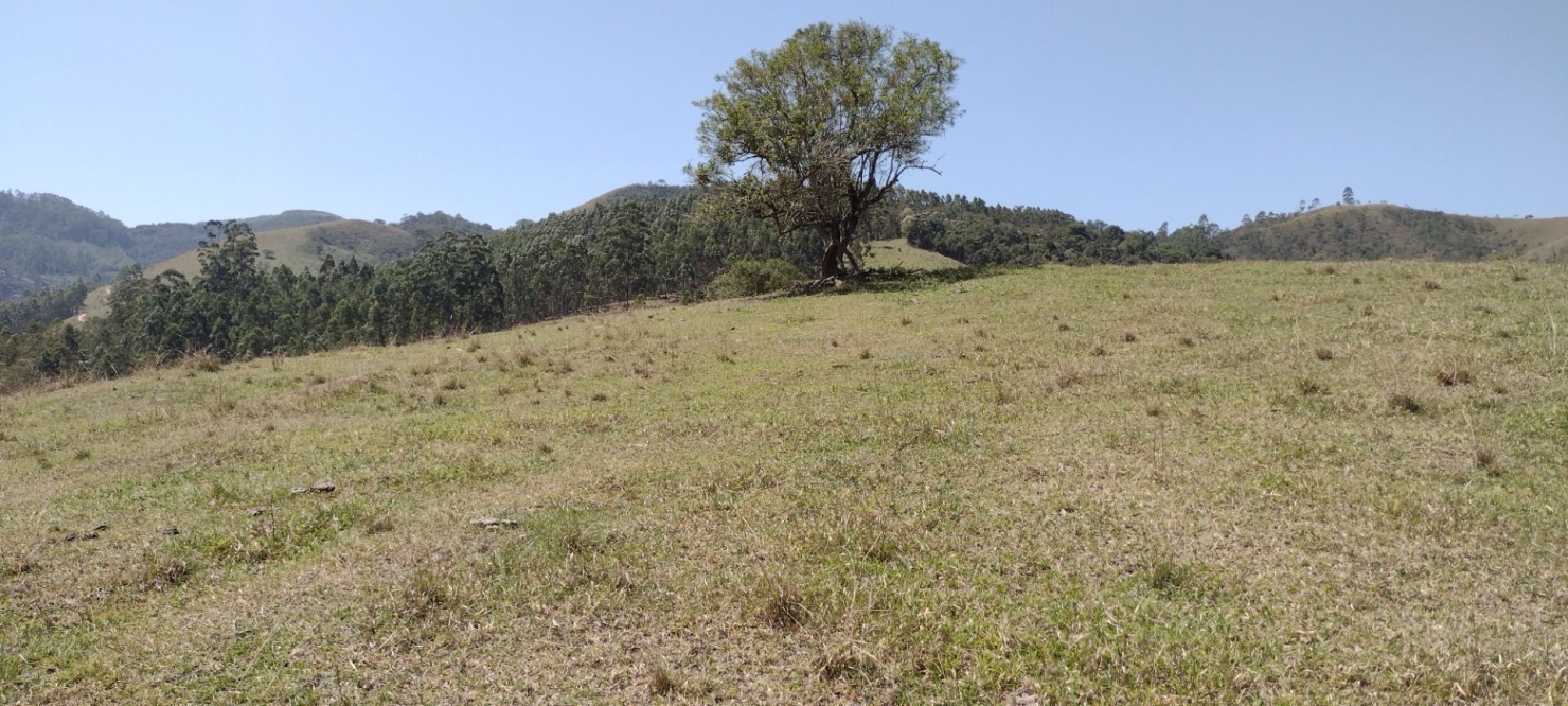 Fazenda-Sítio-Chácara, 73 hectares - Foto 6