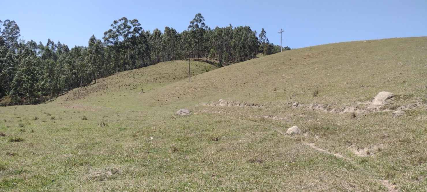 Fazenda-Sítio-Chácara, 73 hectares - Foto 10