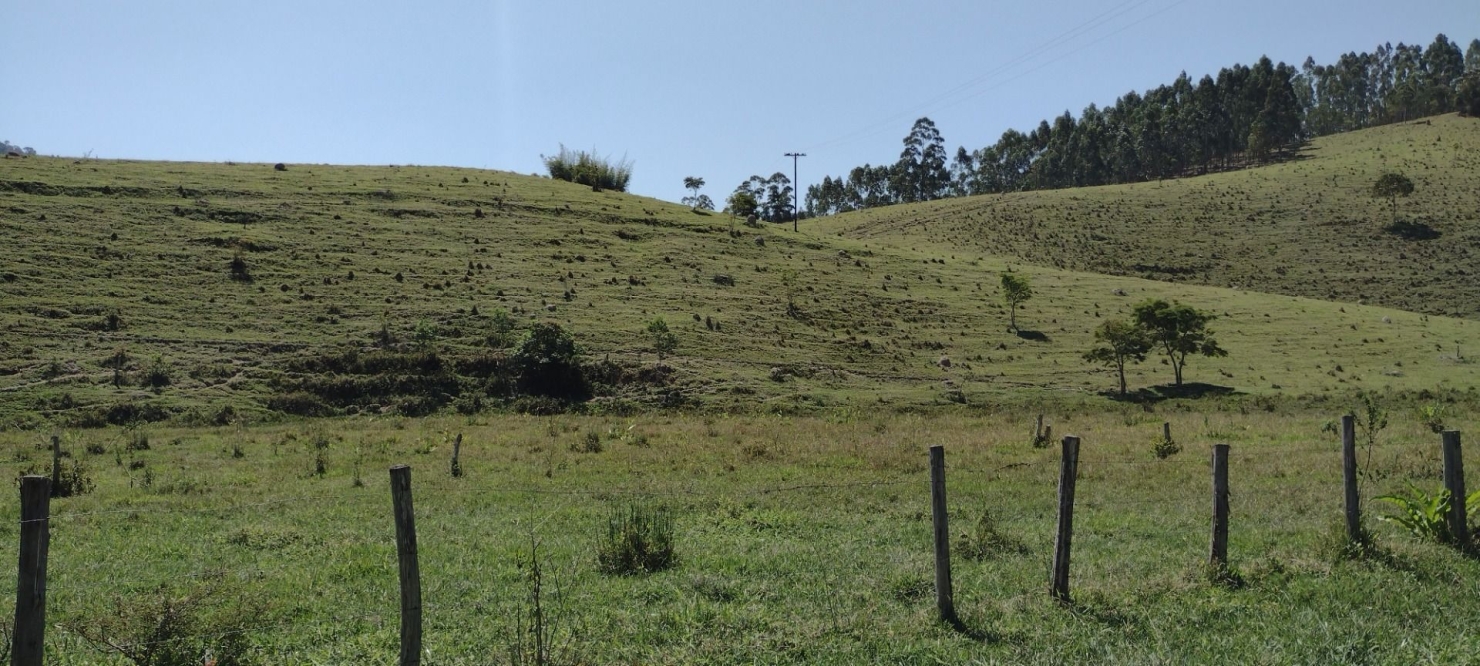 Fazenda-Sítio-Chácara, 73 hectares - Foto 11