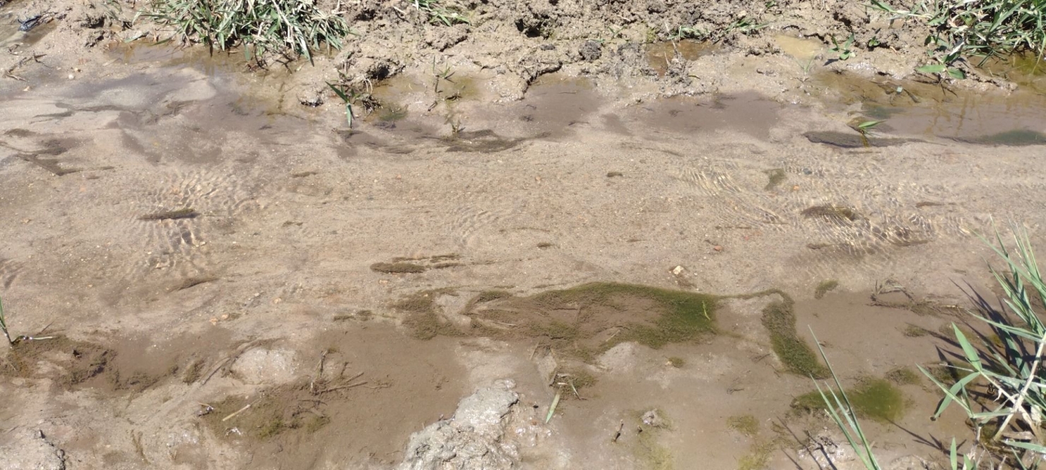 Fazenda-Sítio-Chácara, 73 hectares - Foto 13