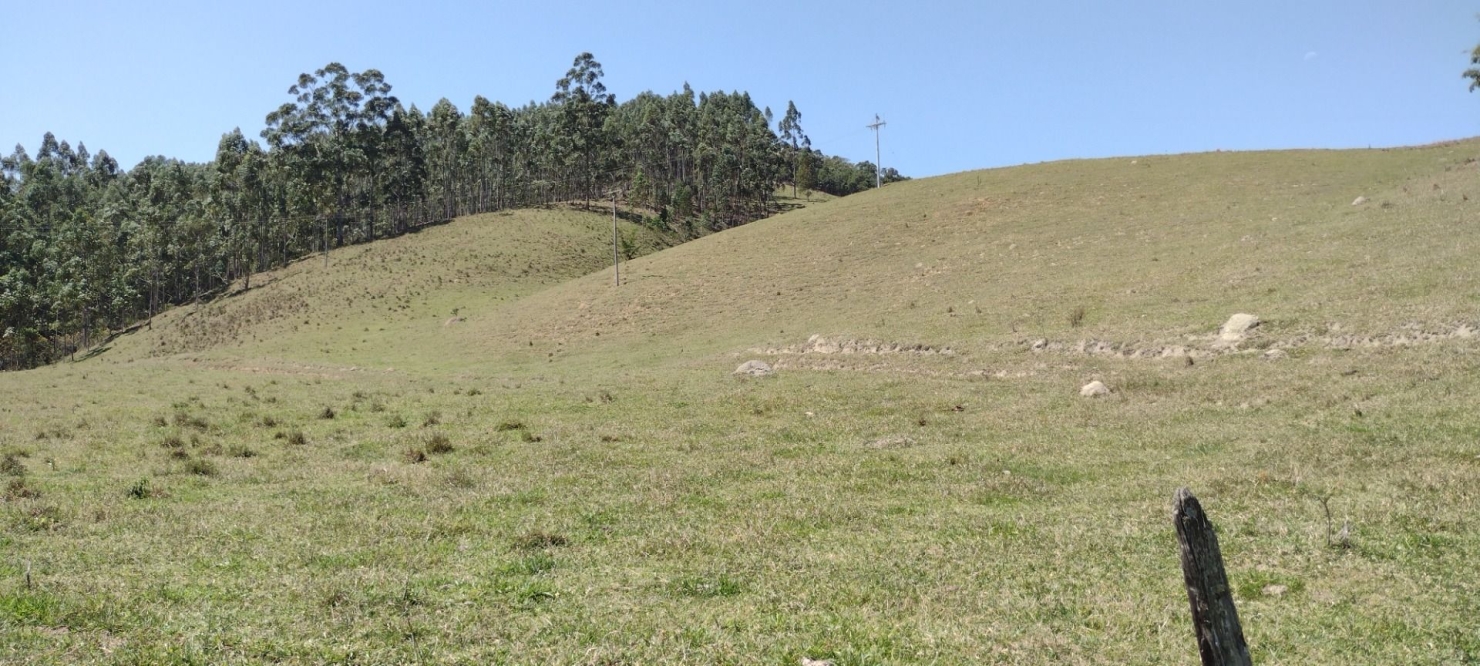 Fazenda-Sítio-Chácara, 73 hectares - Foto 14