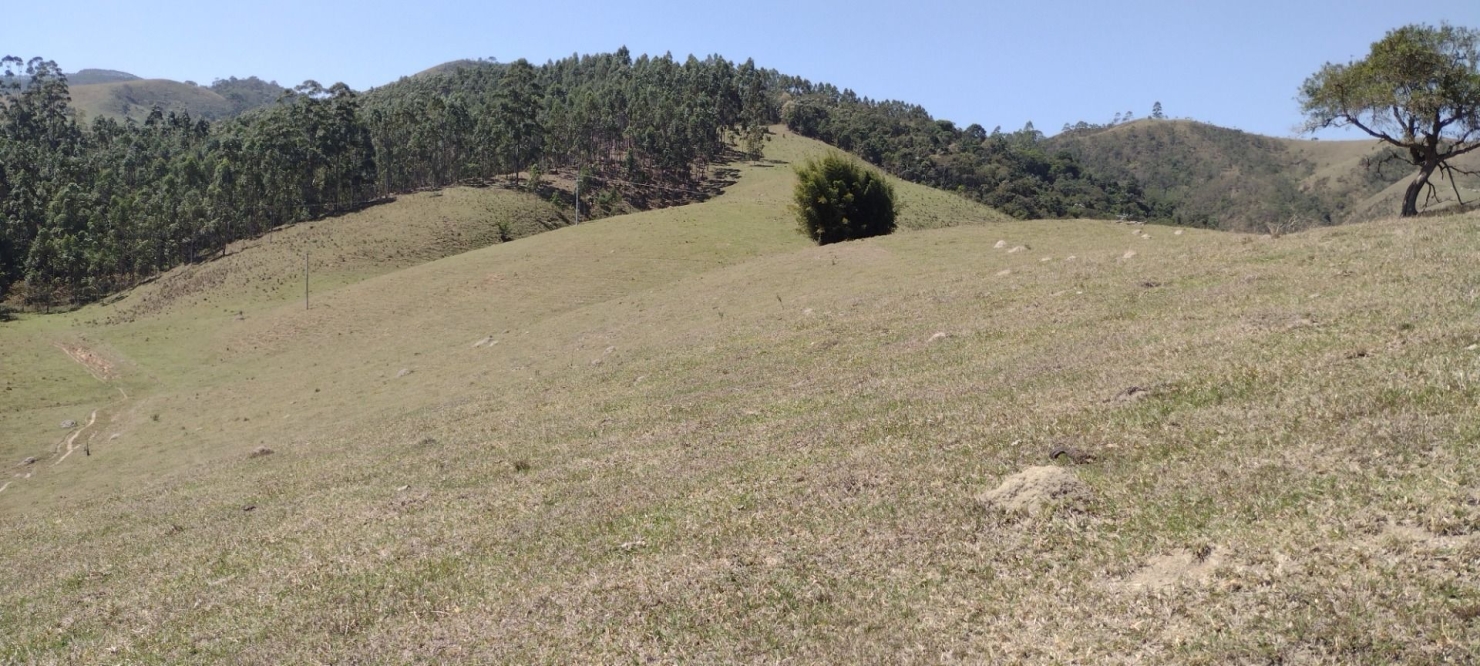 Fazenda-Sítio-Chácara, 73 hectares - Foto 15