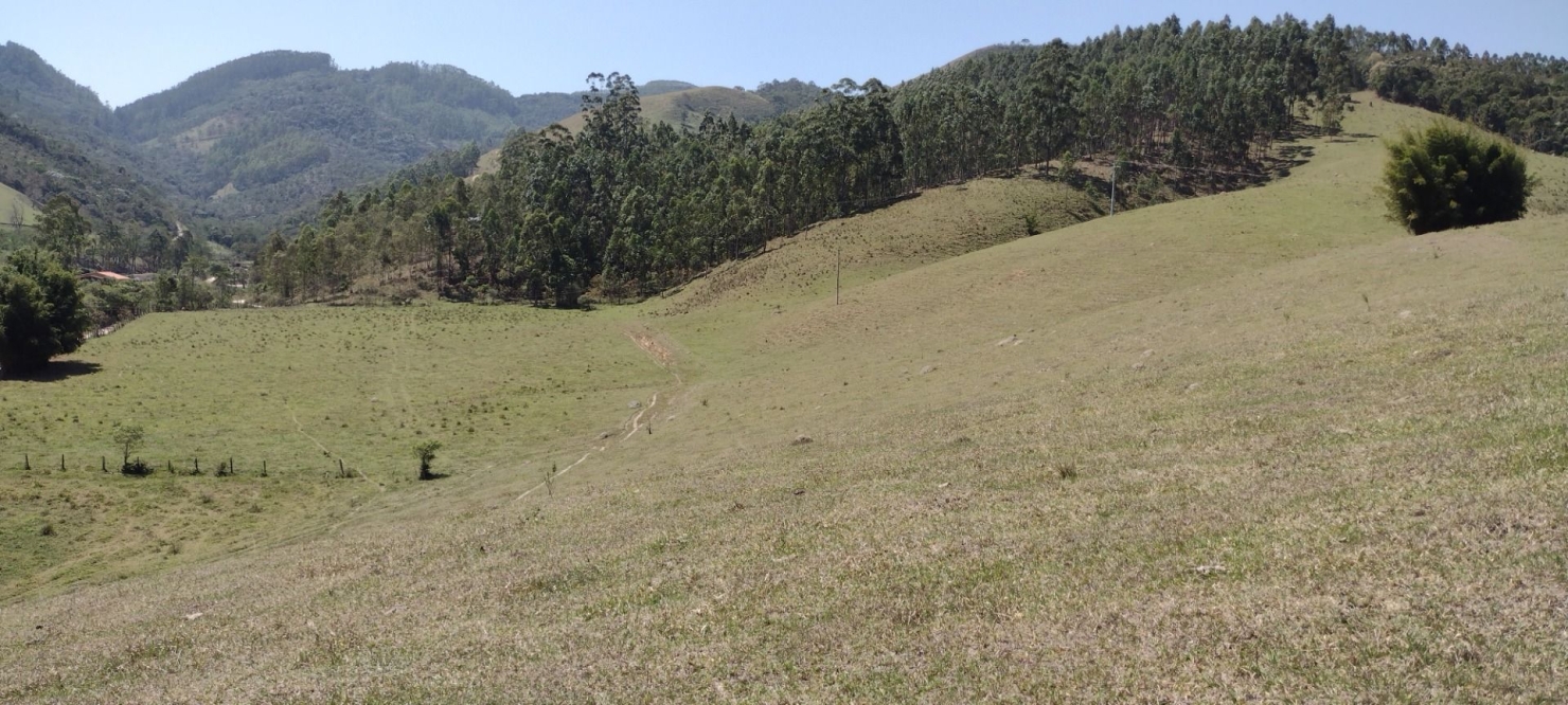 Fazenda-Sítio-Chácara, 73 hectares - Foto 7