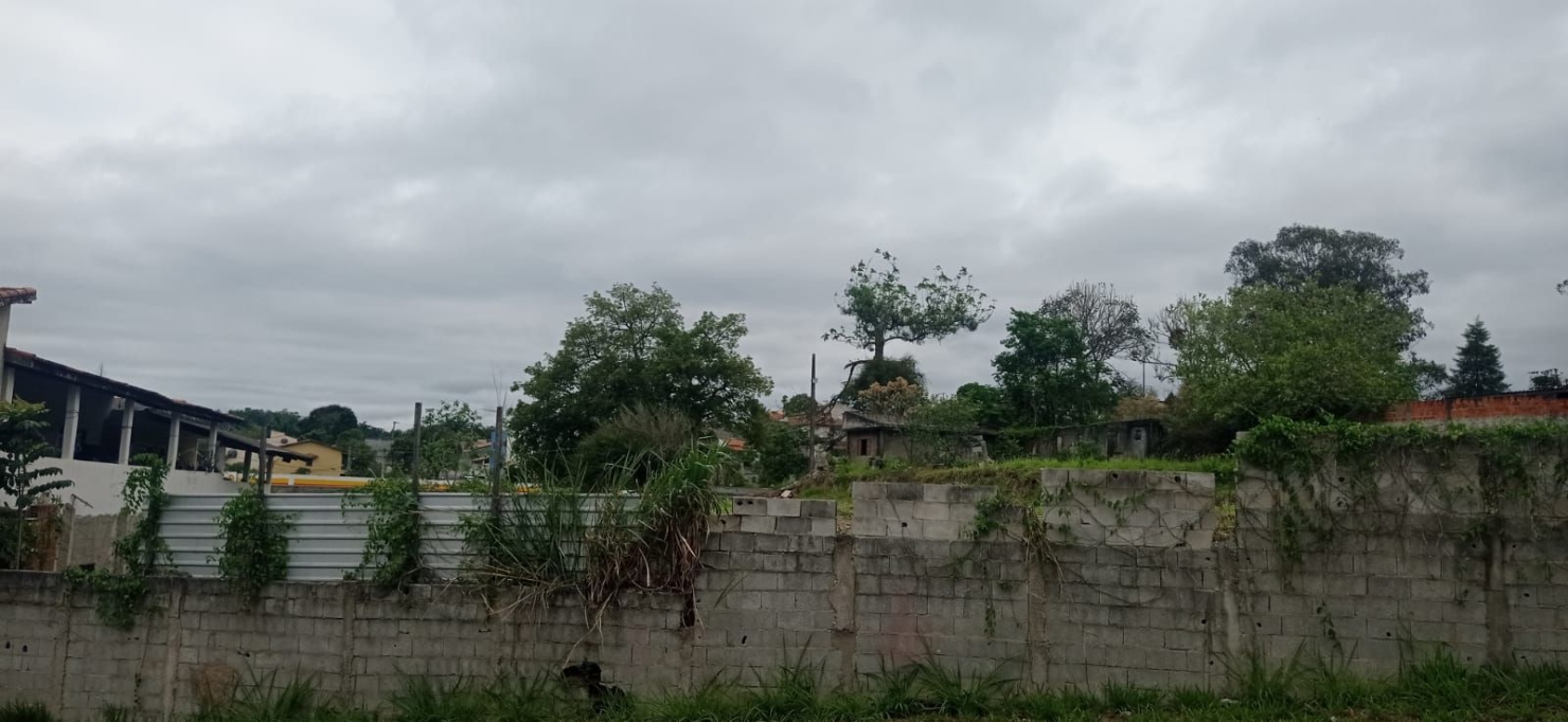 Terreno, 6000 m² - Foto 3