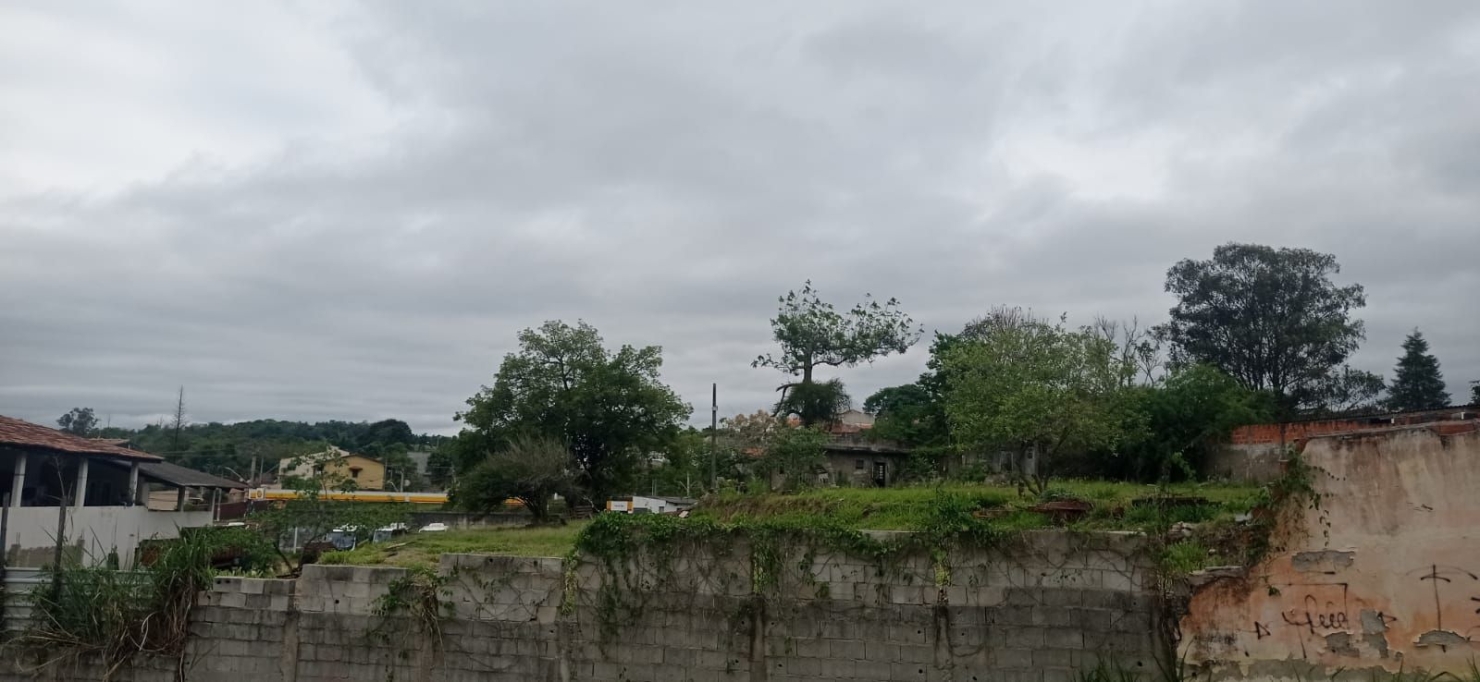 Terreno, 6000 m² - Foto 4