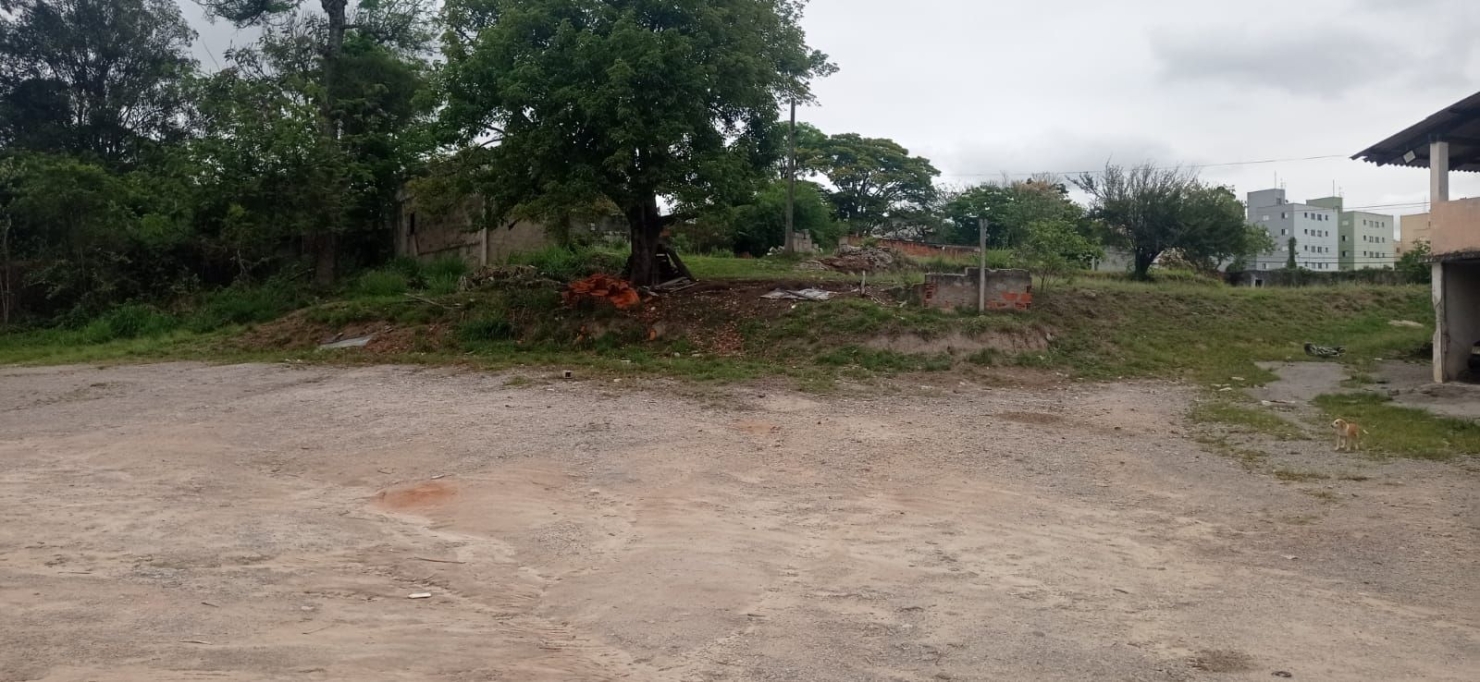 Terreno, 6000 m² - Foto 13