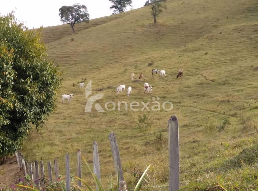 Fazenda em Silveiras/São Paulo — Ref Y17YET — Imagem 7