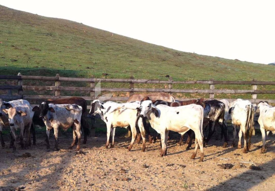 Fazenda em Silveiras/São Paulo — Ref Y17YET — Imagem 10