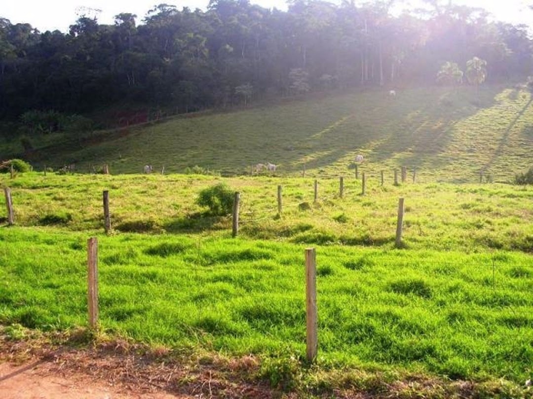 Fazenda em Santa Branca/São Paulo — Ref 1ELW7G — Imagem 8