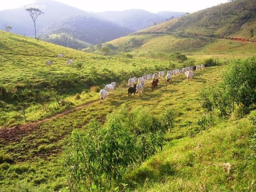 Fazenda em Santa Branca/São Paulo — Ref 1ELW7G — Imagem 12