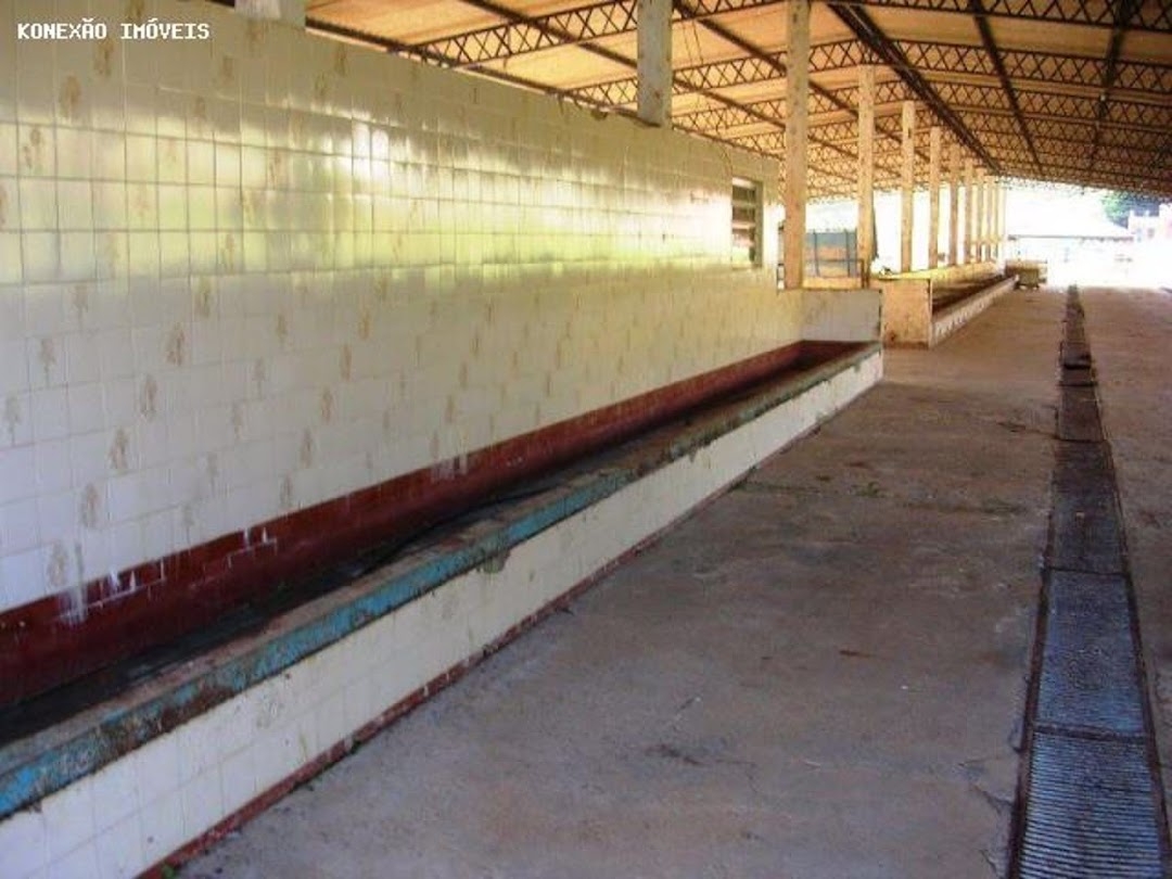 Fazenda em Santa Branca/São Paulo — Ref 1ELW7G — Imagem 15