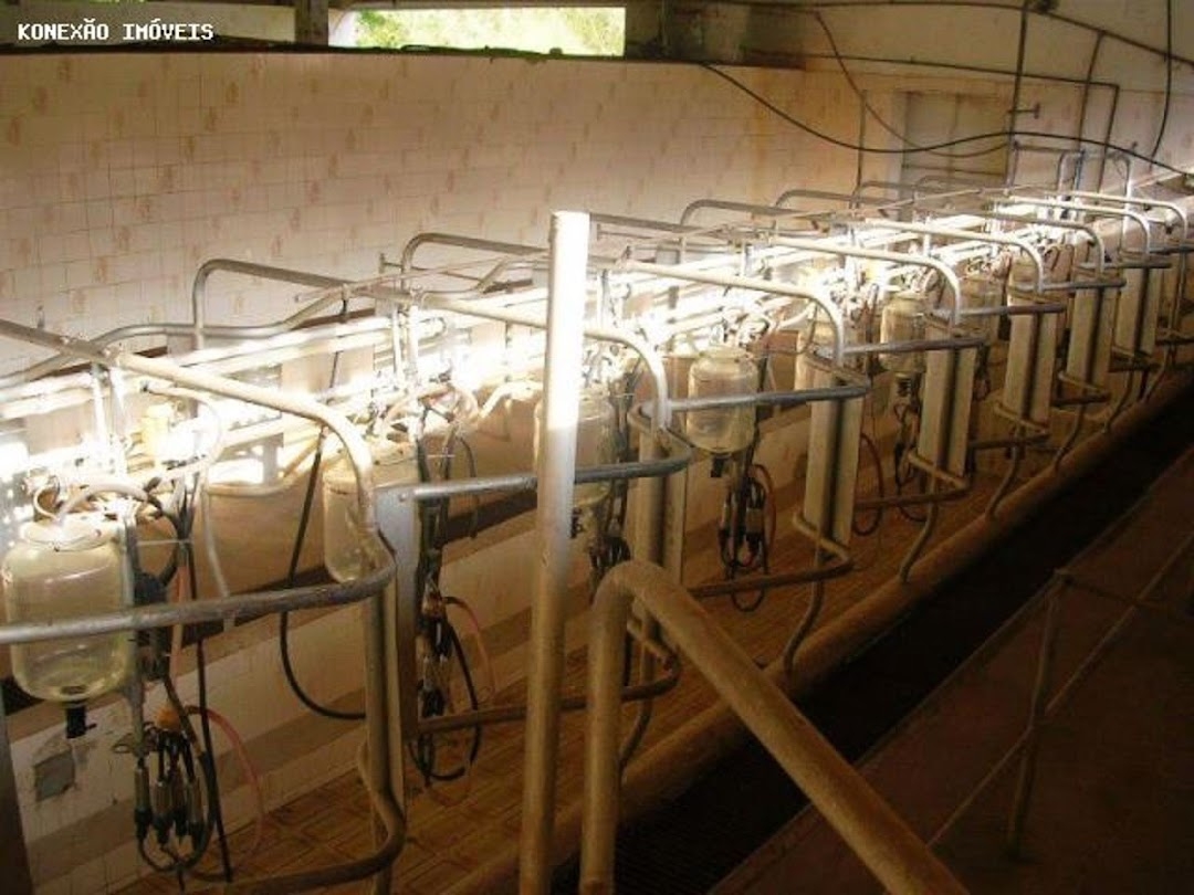 Fazenda em Santa Branca/São Paulo — Ref 1ELW7G — Imagem 14