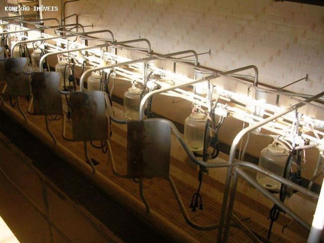 Fazenda em Santa Branca/São Paulo — Ref 1ELW7G — Imagem 13