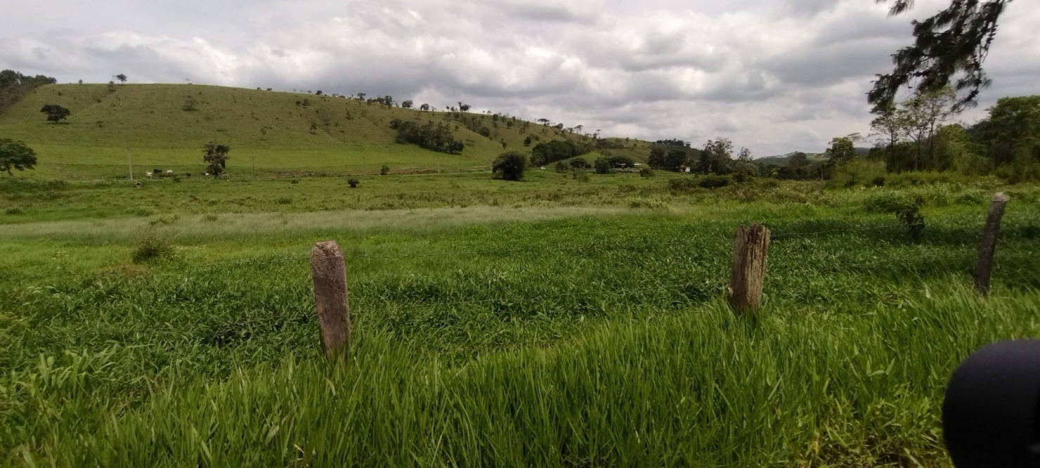 Fazenda, 300 m² - Foto 3