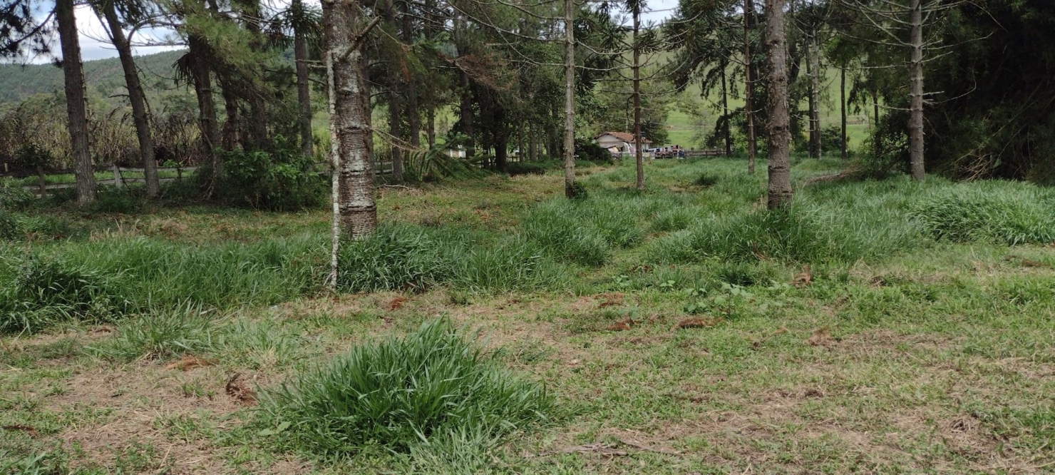 Fazenda, 300 m² - Foto 4