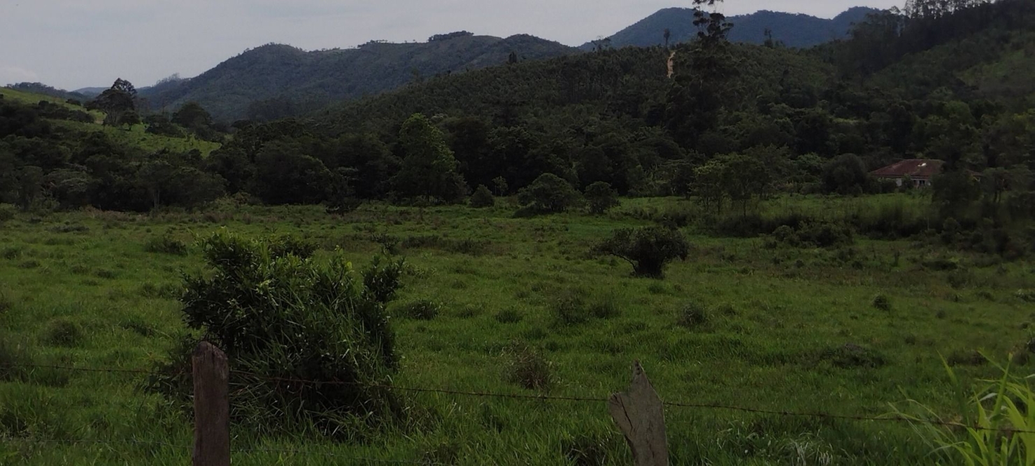 Fazenda, 300 m² - Foto 5