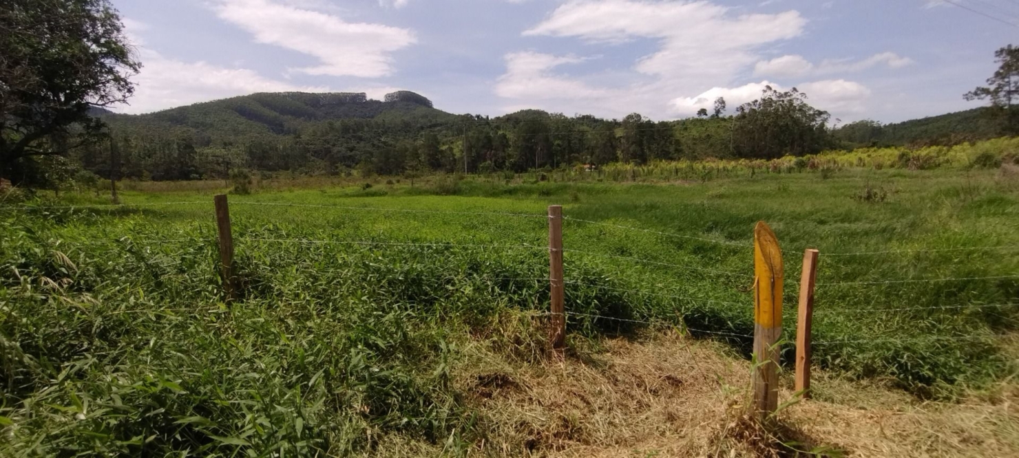 Fazenda, 300 m² - Foto 6