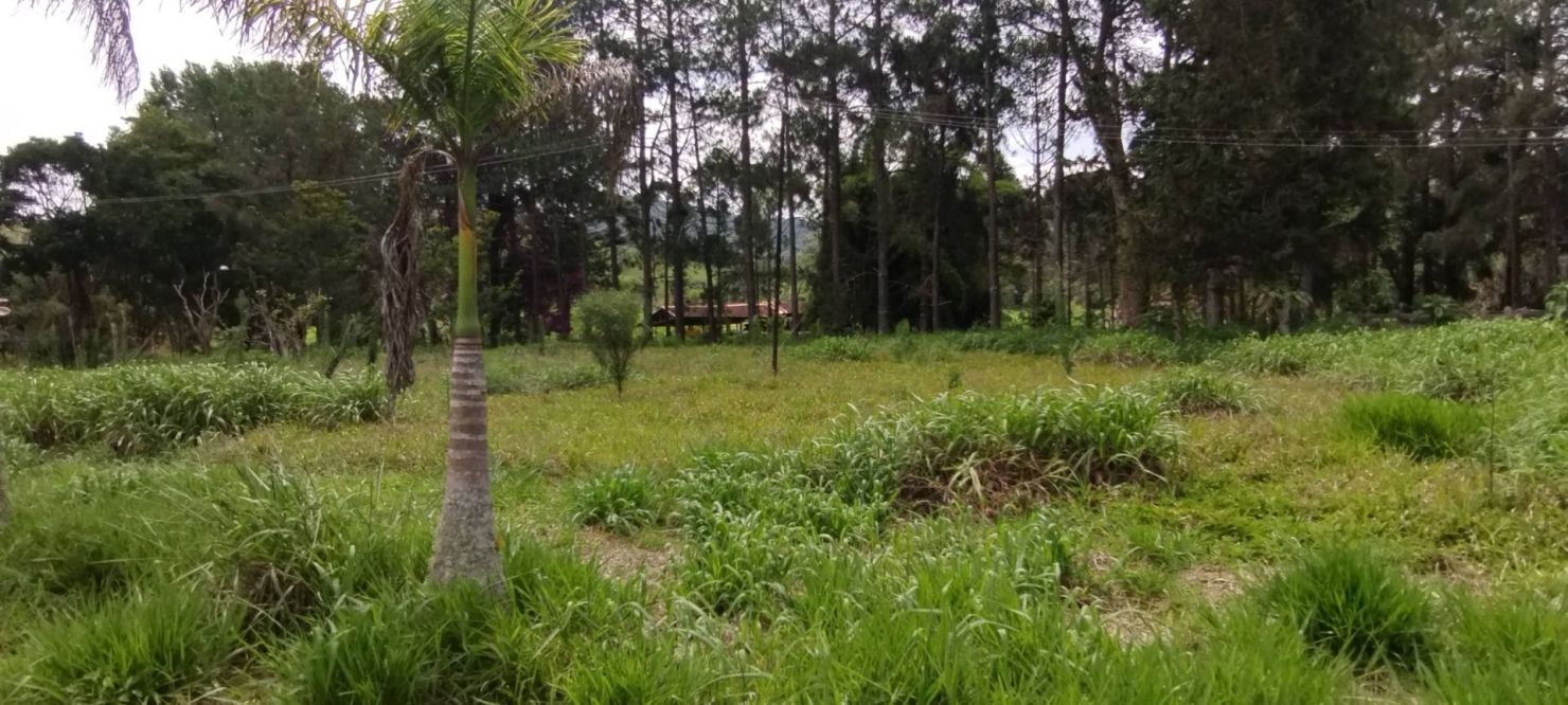 Fazenda, 300 m² - Foto 7