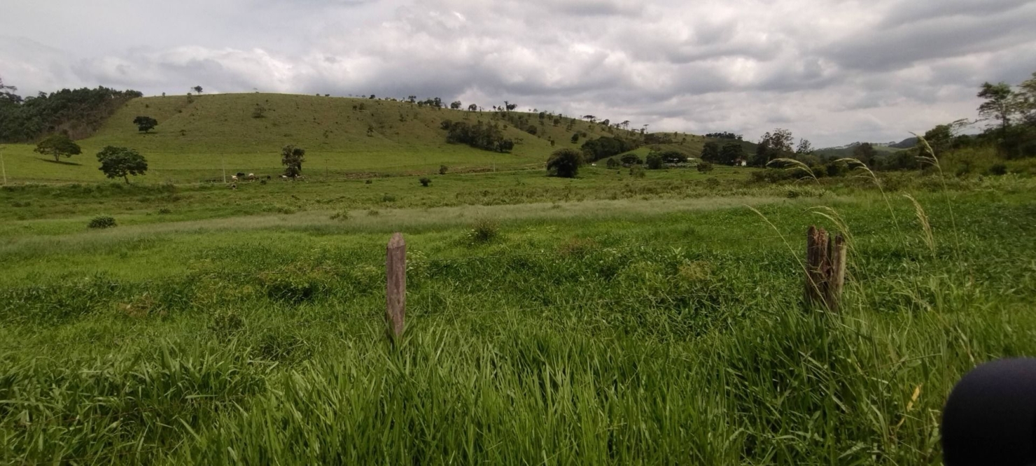 Fazenda, 300 m² - Foto 2