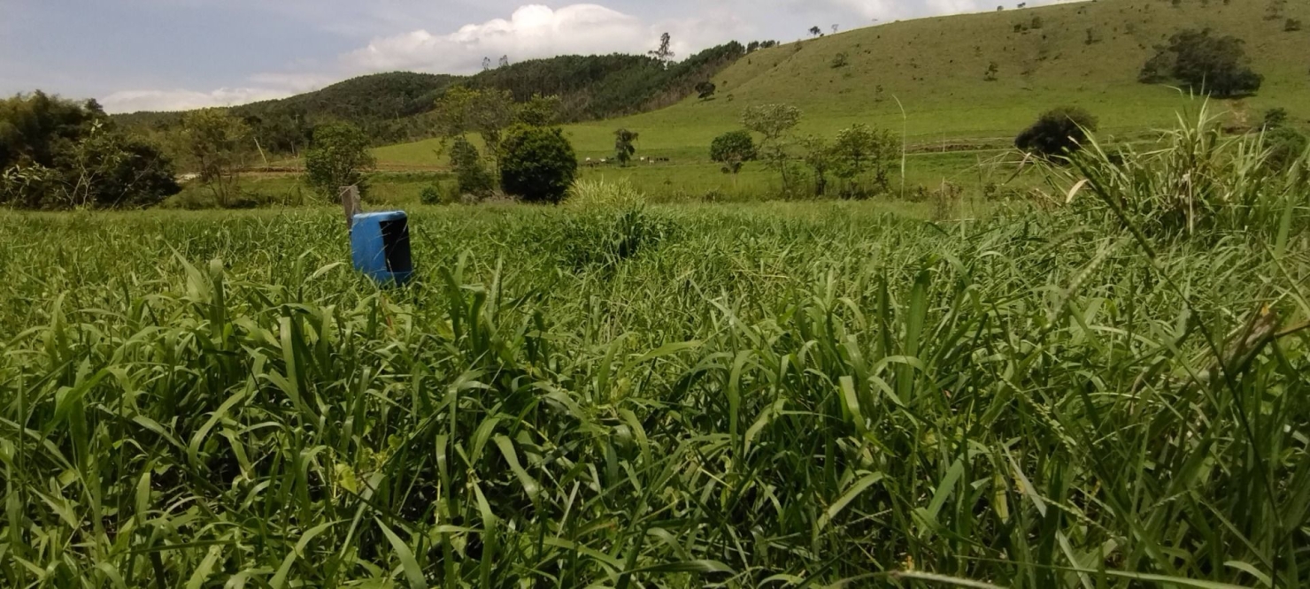 Fazenda, 300 m² - Foto 13