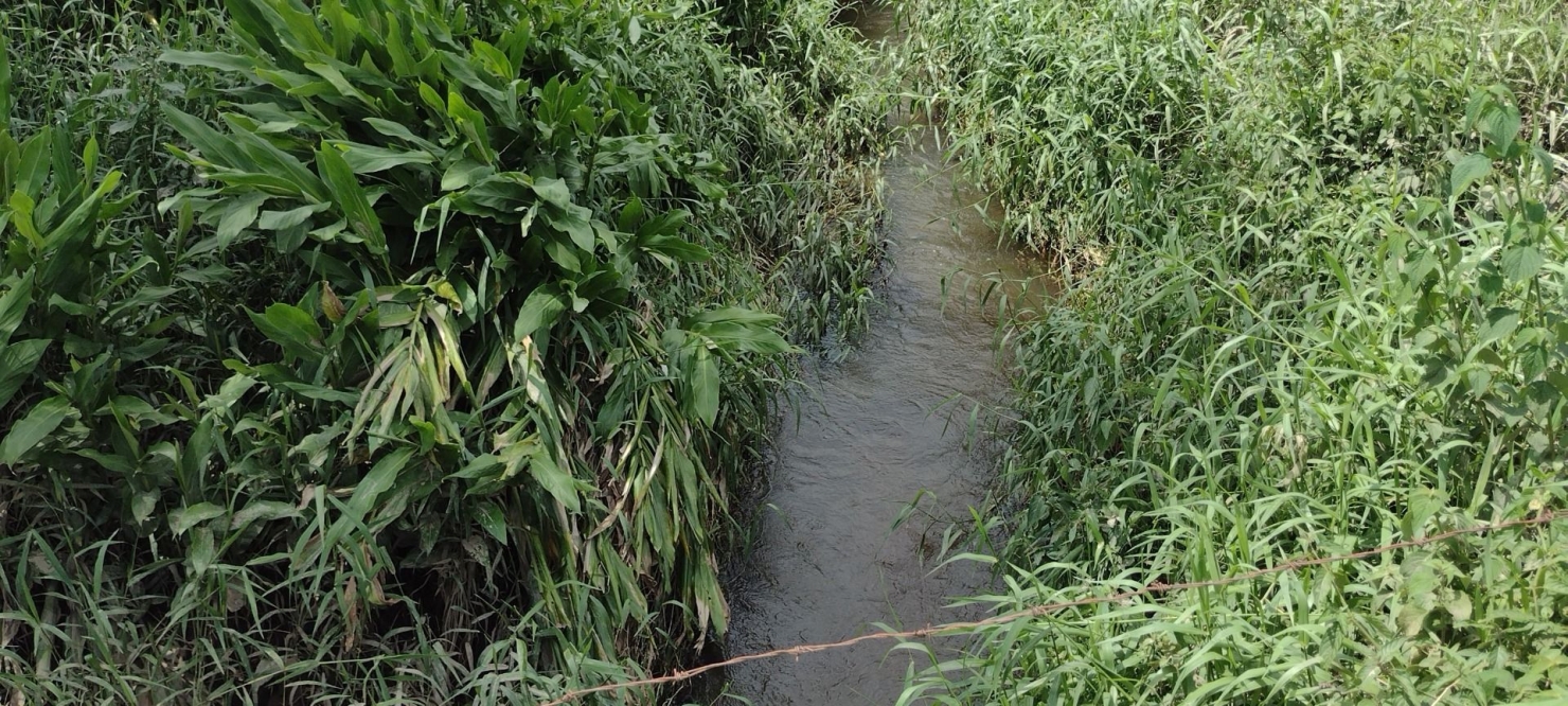 Fazenda, 300 m² - Foto 16