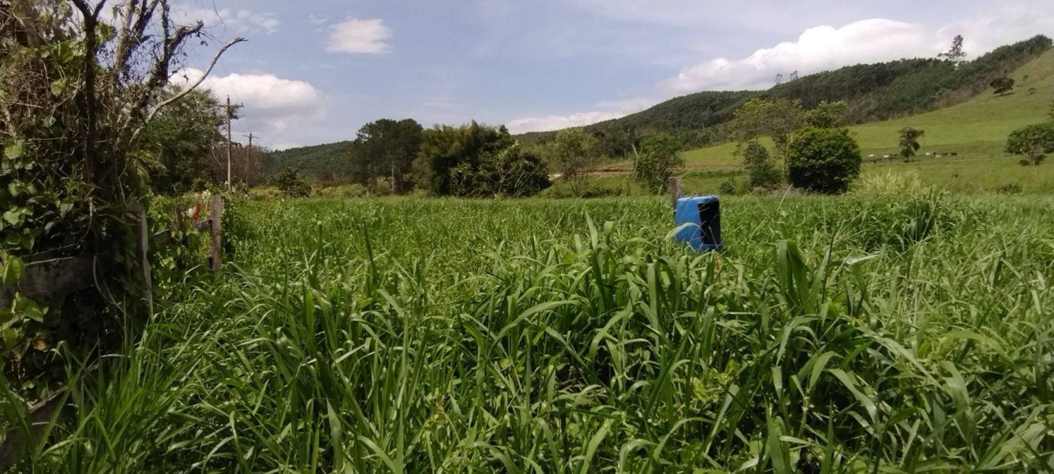 Fazenda, 300 m² - Foto 21