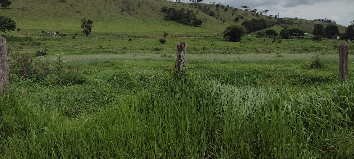 Fazenda, 300 m² - Foto 22