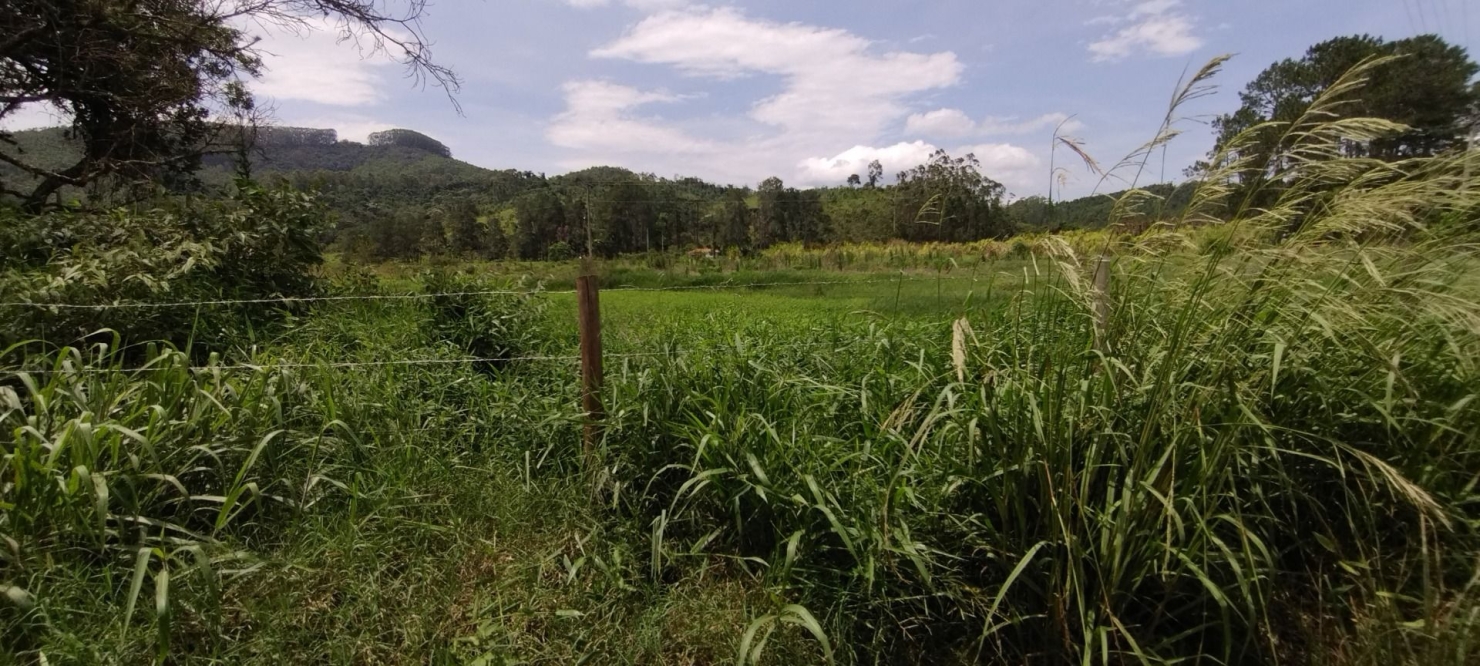 Fazenda, 300 m² - Foto 24