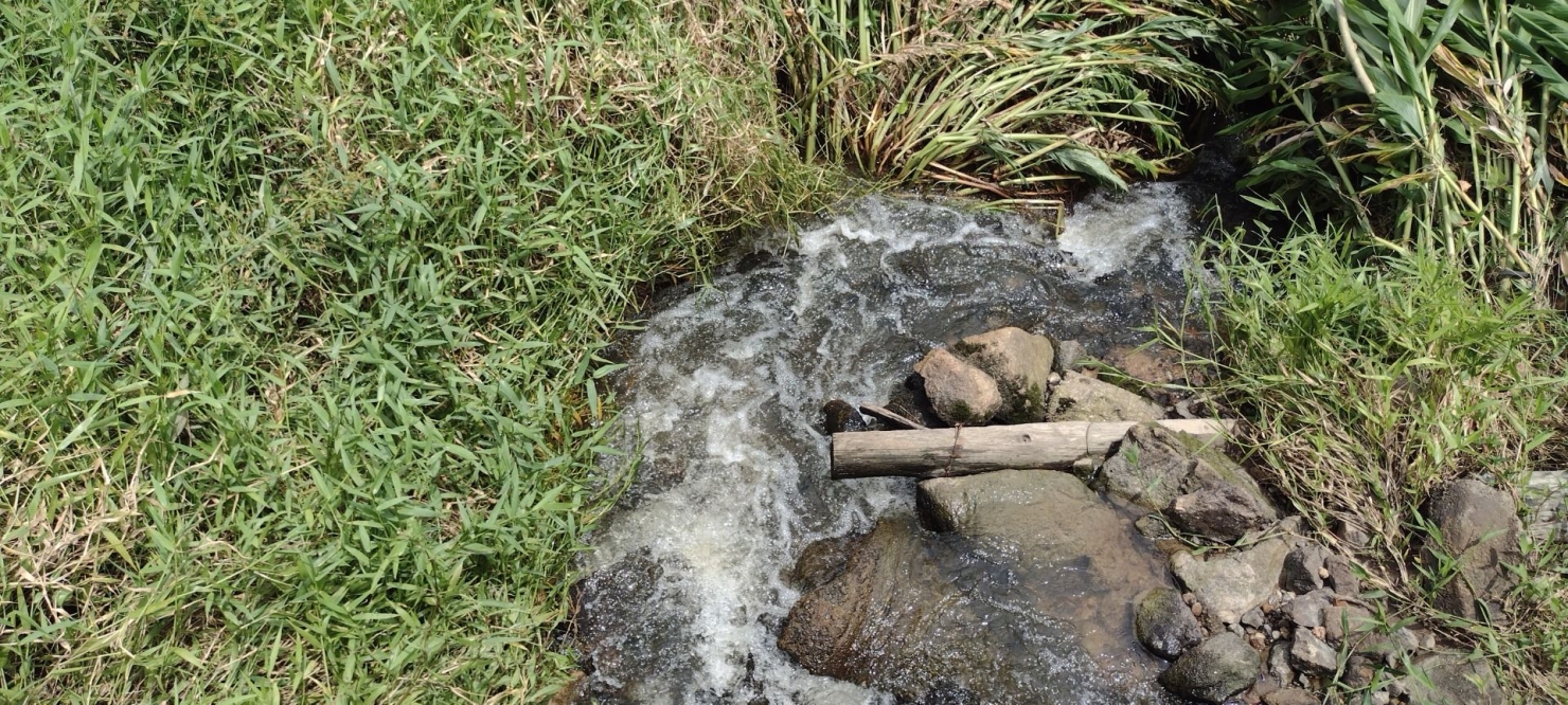 Fazenda, 300 m² - Foto 25