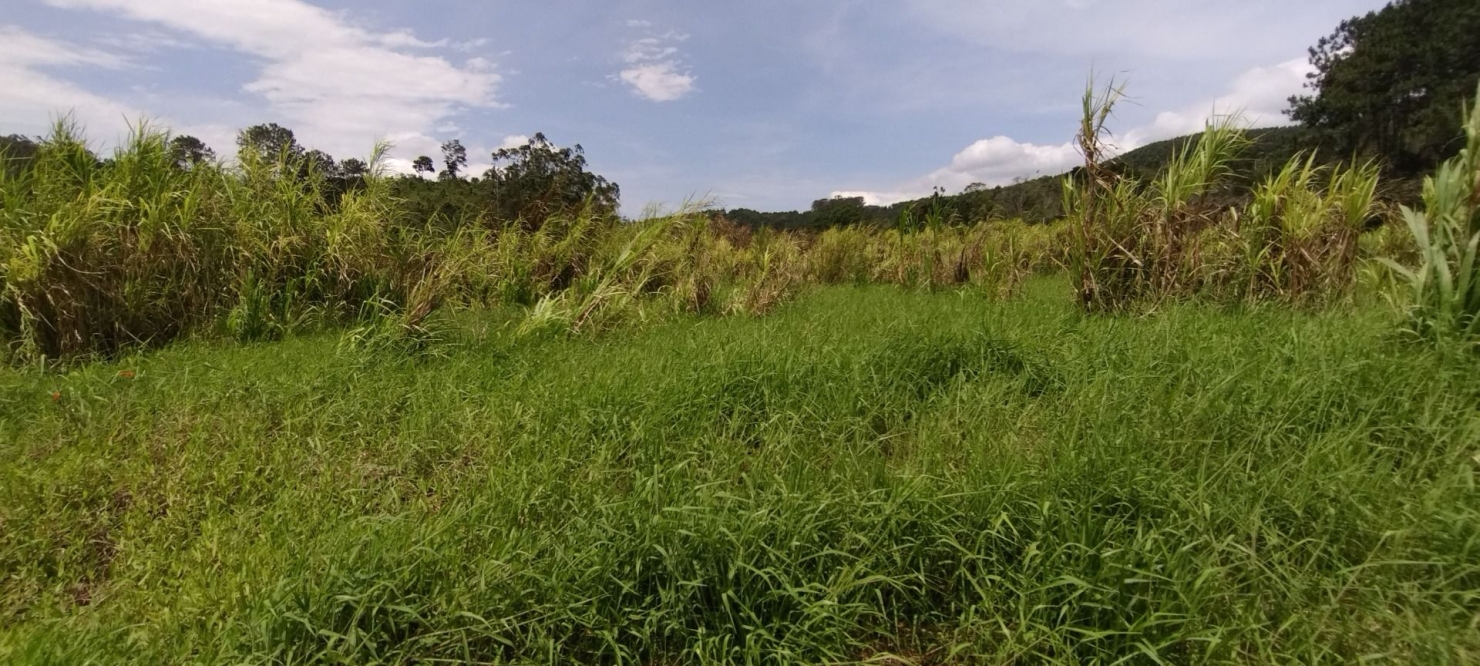 Fazenda, 300 m² - Foto 27