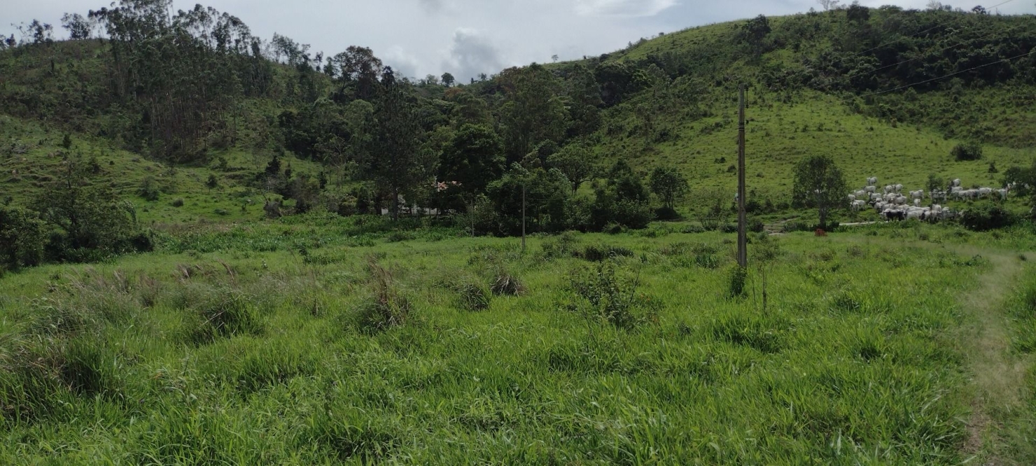 Fazenda, 300 m² - Foto 29