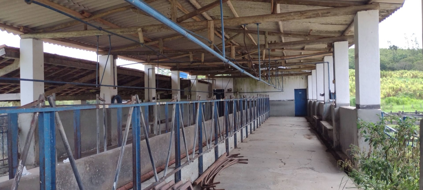 Fazenda, 300 m² - Foto 31